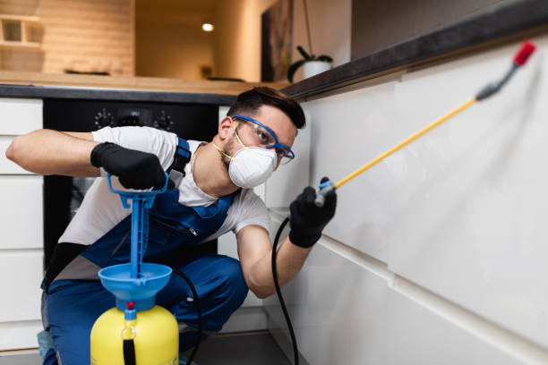 Best Emergency Pest Control  in Tyler, TX