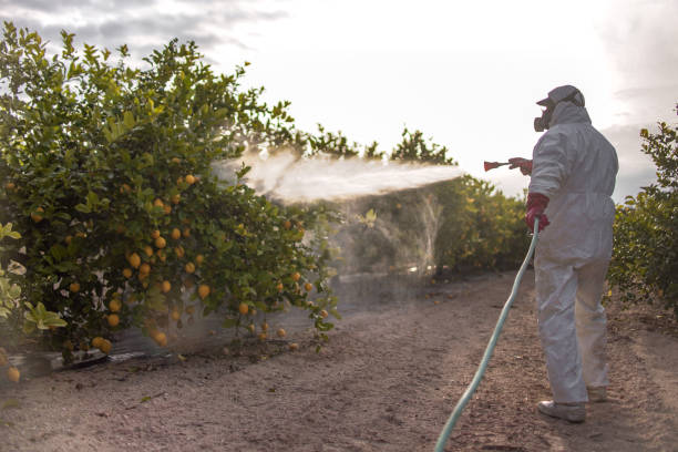 Best Pest Control Near Me in Tyler, TX